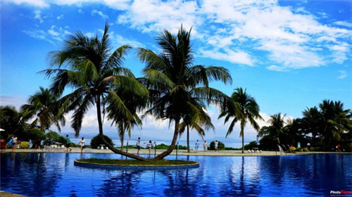 老李太太炸串炒饭