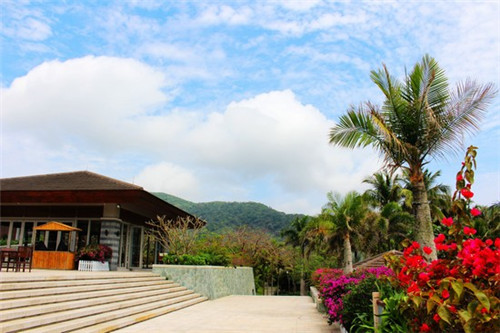 一品麦香秘传手撕面