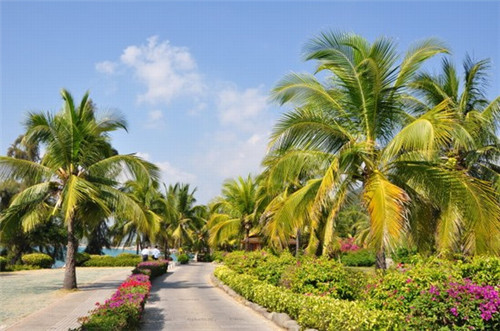 熟食店创业时机是什么意思