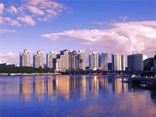 哪家金盏花茶加盟项目比较赚钱