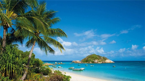 海州烤鱼加盟品牌哪家靠谱，海州加盟鱼密天使烤鱼饭经营多久才能盈利