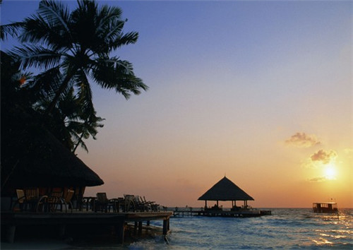 电动观光车加盟投资开店哪些项目还能做