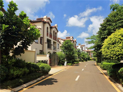 皇雅系统是十大品牌吗（皇雅尊门业）