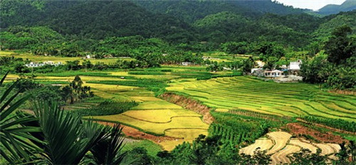 犍为有哪些旅游景点（犍为旅游有哪些好玩啊）