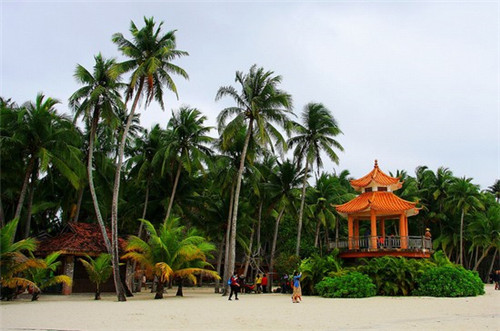 播放全集空调的歌是什么（空调的什么音乐）