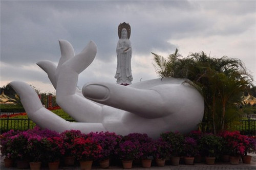 炒白菜豆角炒肉片的做法（炒白菜豆角炒肉片的做法窍门）