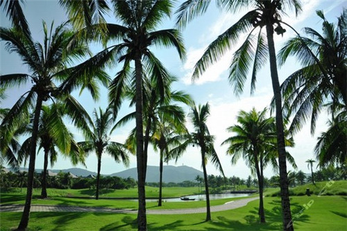 紫金风景线西区现状（紫金风景线西区烂尾）